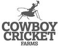 CowboyCricket